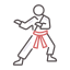 karate